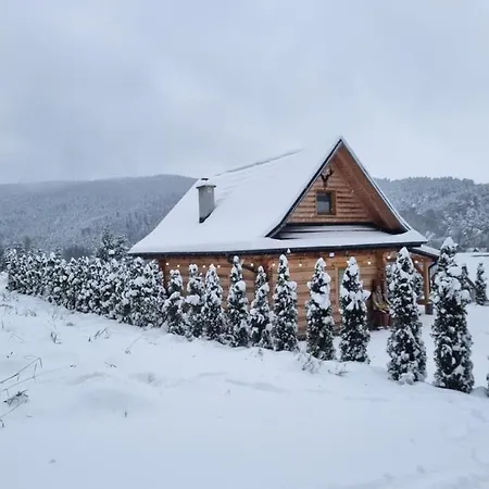 Jodlowa Villa *